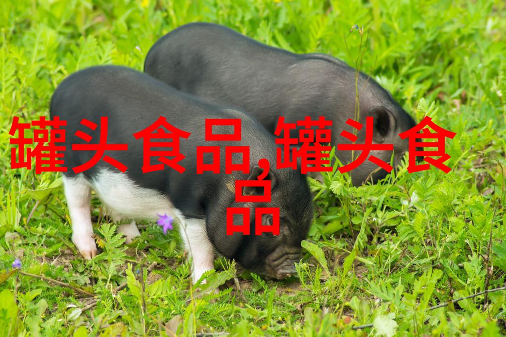2023年1-10月中国桃罐头出口情况